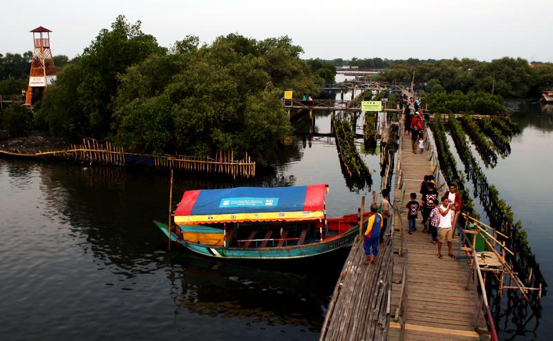 Wisata Mangrove Tarumajaya