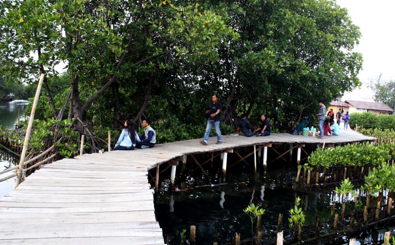 Wisata Mangrove Tarumajaya