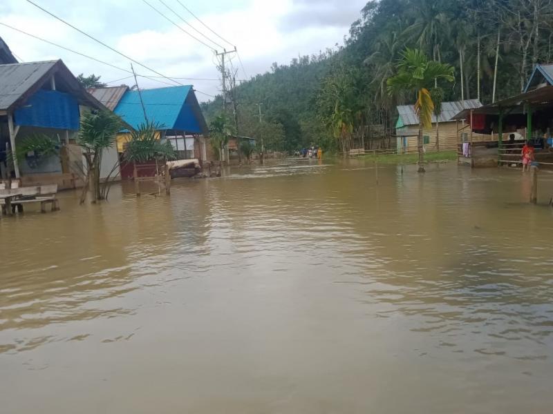 Banjir Rendam Delapan Desa di Konawe Utara