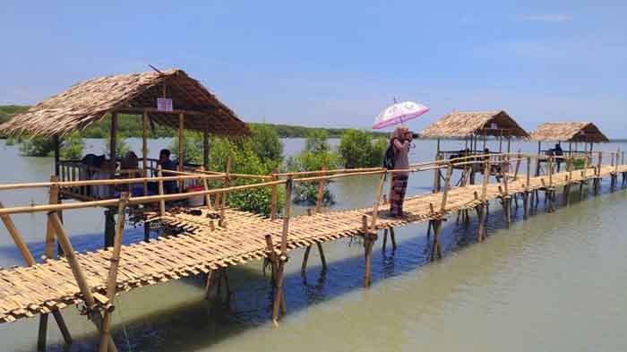 Bingung Liburan Kemana Datanglah Ke Lampung Kota Sejuta Wisata